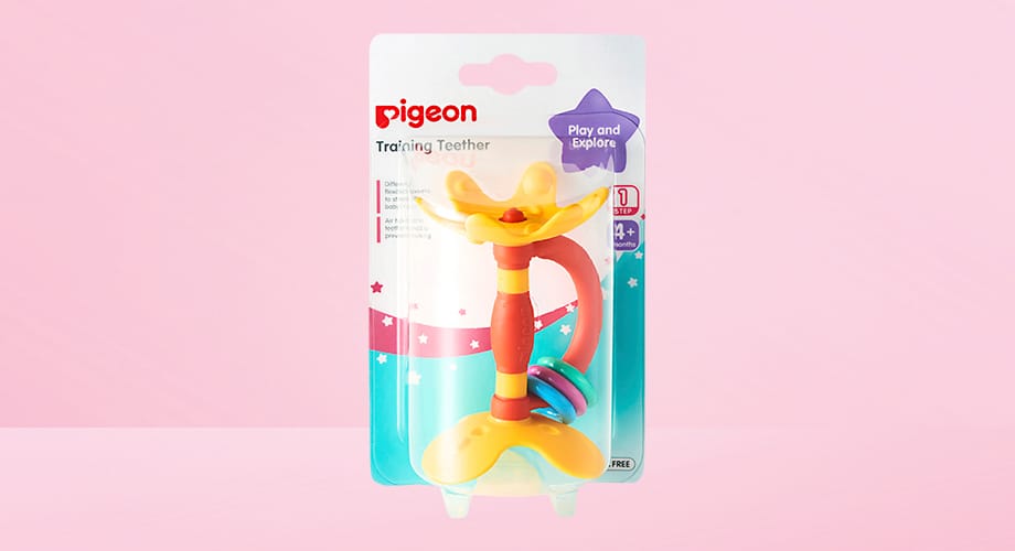 Pigeon Training Teether Step 14+ Months 1pk