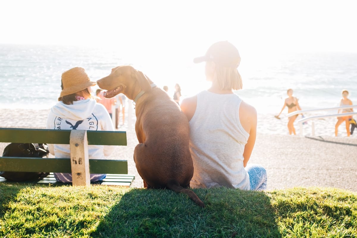 The Best Ways to Protect Yourself from the Sun
