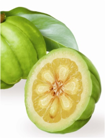 WEIGHT LOSS SUPPLEMENTS, DO THEY REALLY WORK?